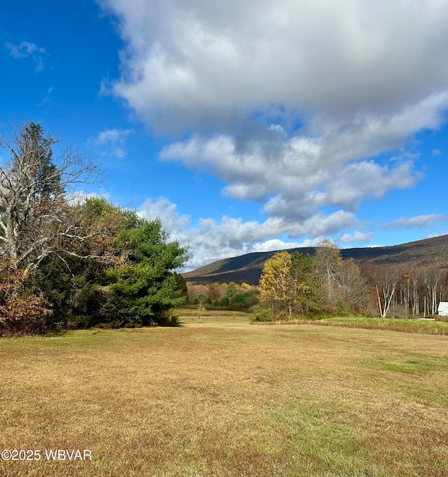 196 Deer View Rd, Unityville, PA 17774 - photo 5