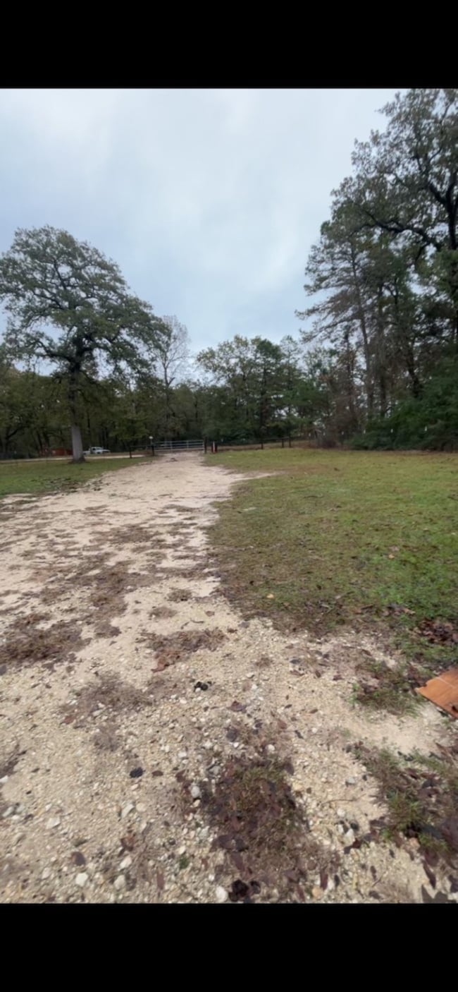 305 Thomas Ln, Trinity, TX 75862 - photo 5