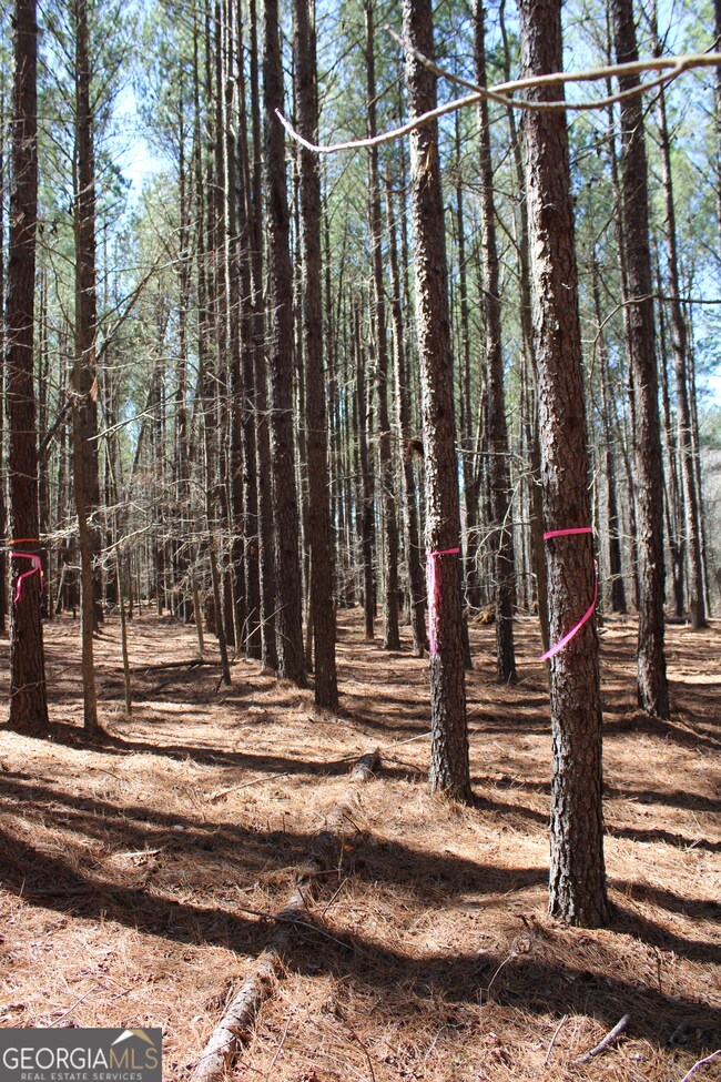 0 Jackson Gin Rd unit 10469996, Harrison, GA 31035 - photo 3