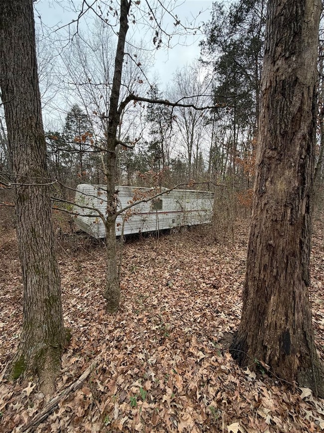 2351 N Logan School Rd, Lewisburg, KY 42256 - photo 6