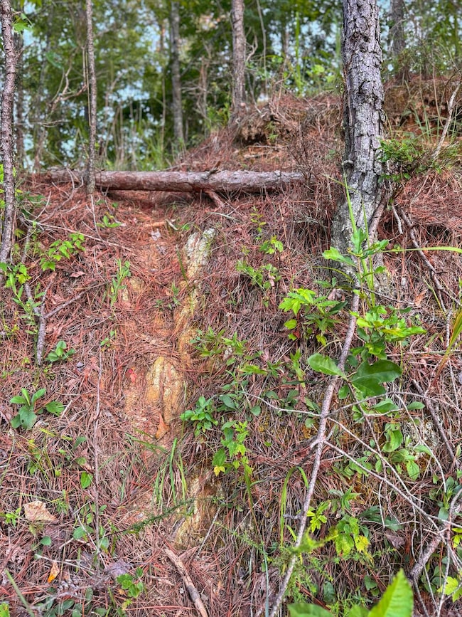 0 unit 11550309, Guin, AL 35563 - photo 3