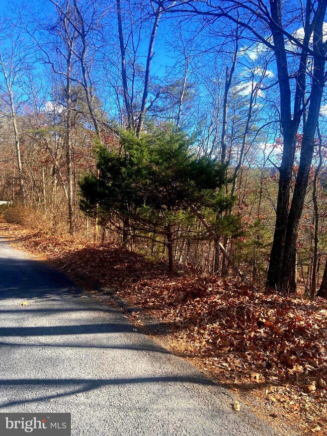 0 Spitz Ln unit VASH2013116, Basye, VA 22810 - photo 2
