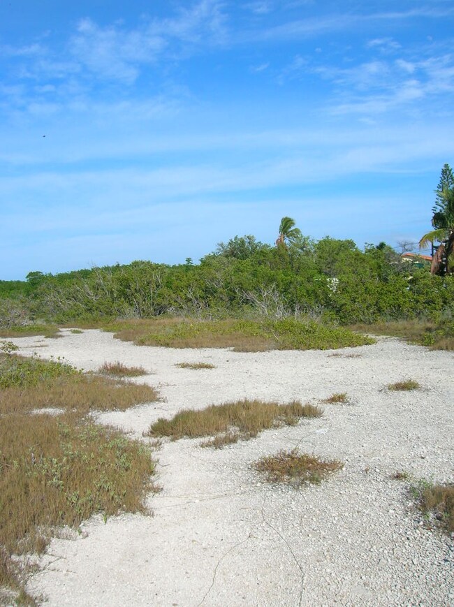 View of Lot