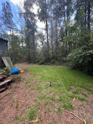 00 S Hwy 43, Columbia, MS 39429 - photo 7