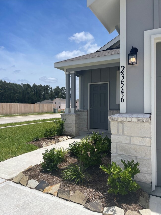 23546 Fallen Cone St, Spring, TX 77373 - photo 3