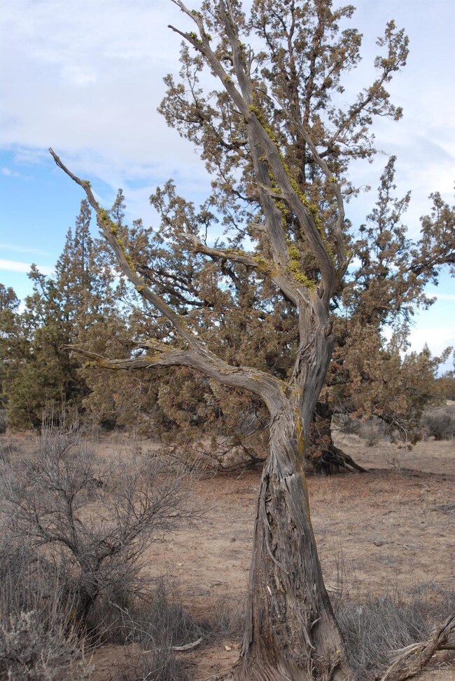 0 SW Rustbucket unit 201800532, Powell Butte, OR 97753 - photo 5