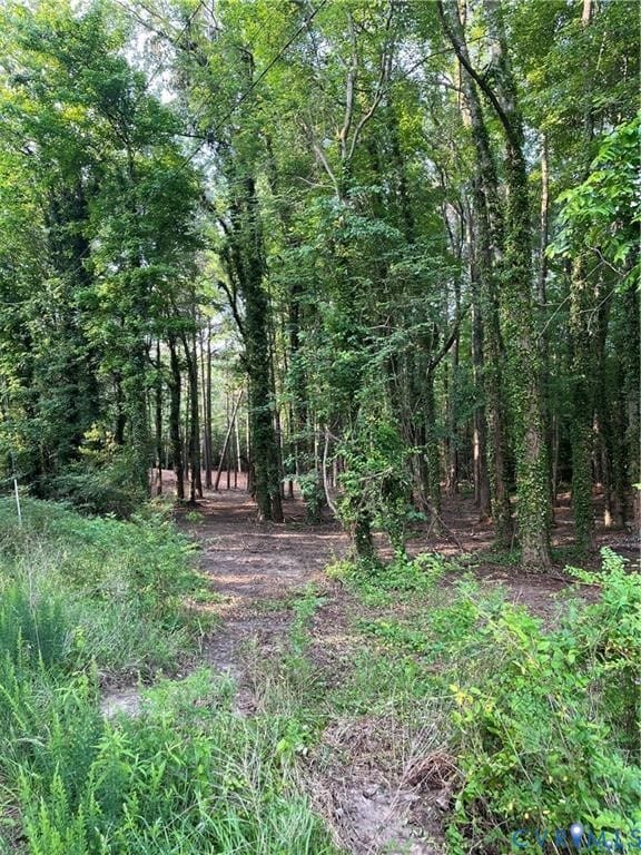 0 Islington Rd unit 2532015, Richmond County, VA 22572 - photo 3