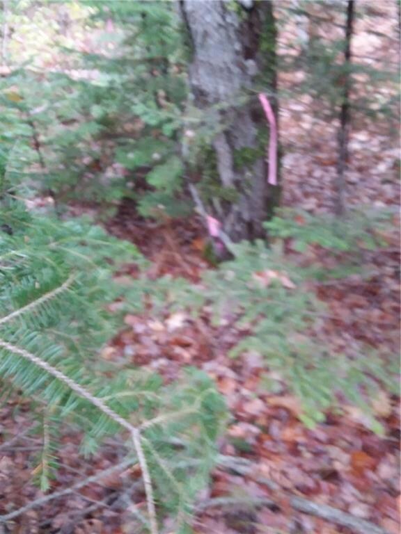 Southwest corner stake at Rd.