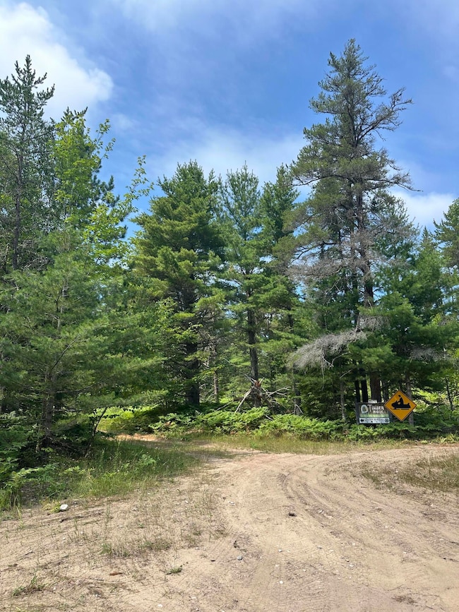 36114 W Ridge Rd, Paradise, MI 49768 - photo 2