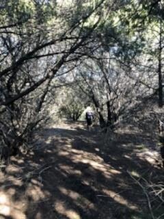 18195 Wildwood Dr, Whitney, TX 76692 - photo 5