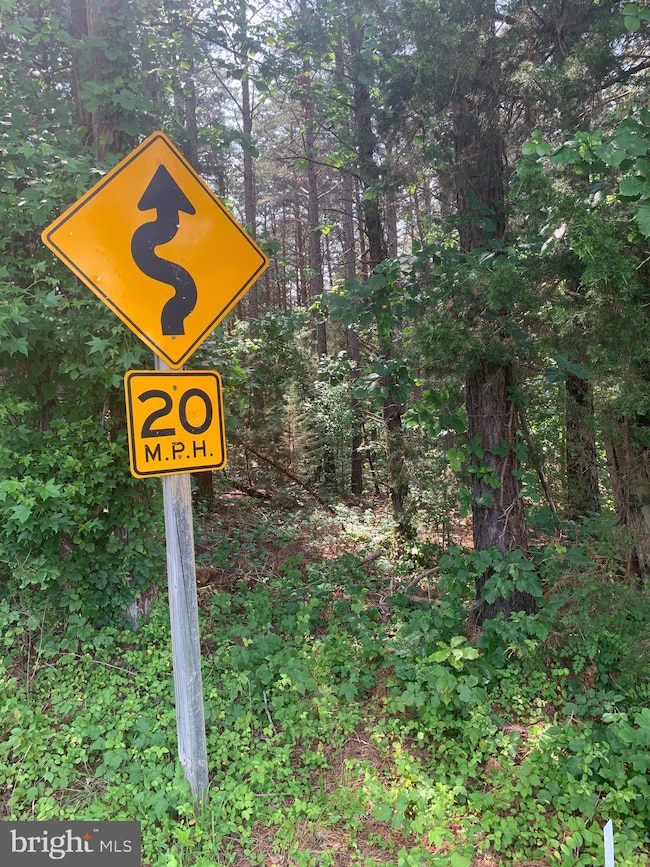 0 Long Branch Rd unit VACV123344, Woodford, VA 22580 - photo 3