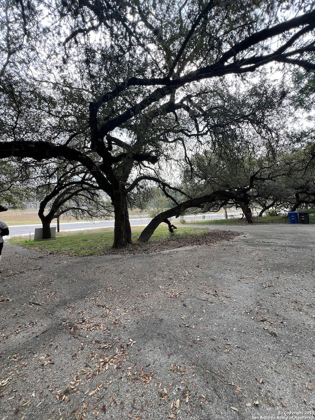 11811 Orsinger Ln, San Antonio, TX 78230 - photo 3