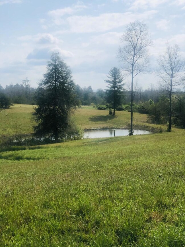 Lot 29-1