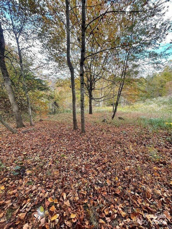 0 Corn Mountain Rd unit CAR4116876, Hendersonville, NC 28792 - photo 5