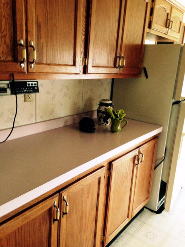 46081 Anthony St, Paw Paw, MI 49079 - photo 4