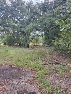 291 Rs County Road 4455, Point, TX 75472 - photo 5