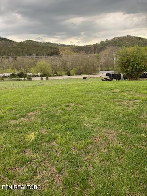 2783 Rutledge Pike, Blaine, TN 37709 - photo 6