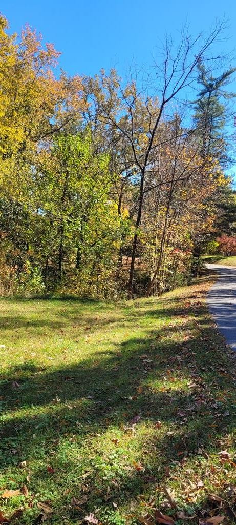 0 Gilliam Dr unit 96, Farmville, VA 23901 - photo 2