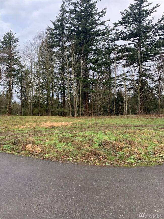 1180 Mukluk Place, Ferndale, WA 98248 - photo 4