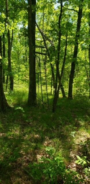 Build your private home here