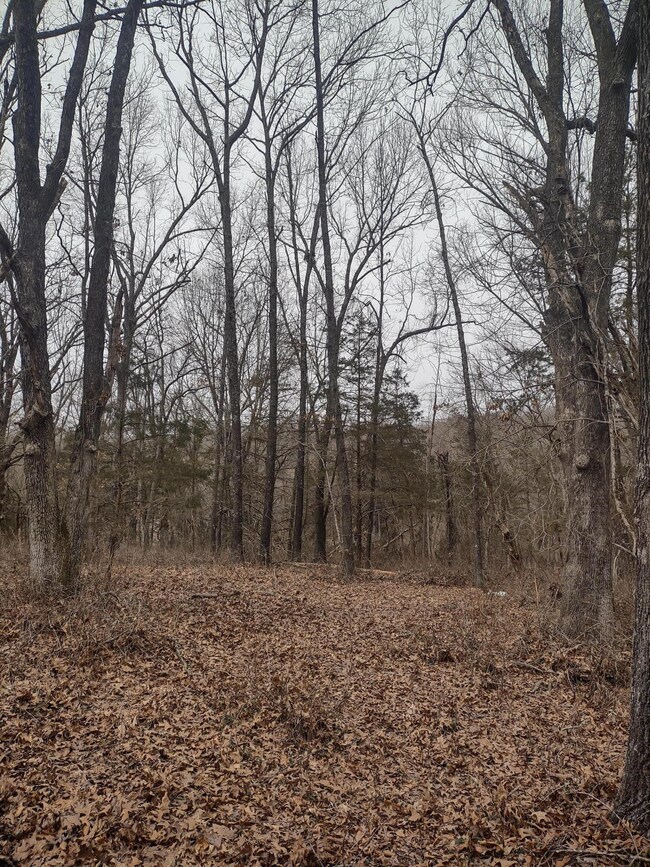 IMG_20250308_124122839_HDR