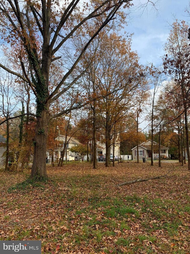 0 5th St unit VAWE2005638, Colonial Beach, VA 22443 - photo 4