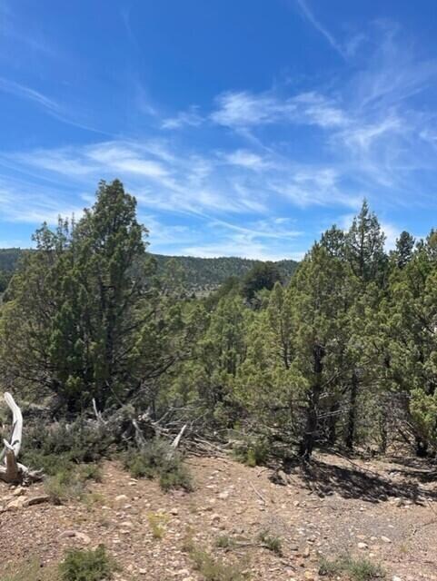 Lot 32 Cree Way unit Block A Long Valley, Duck Creek, UT 84762 - photo 4