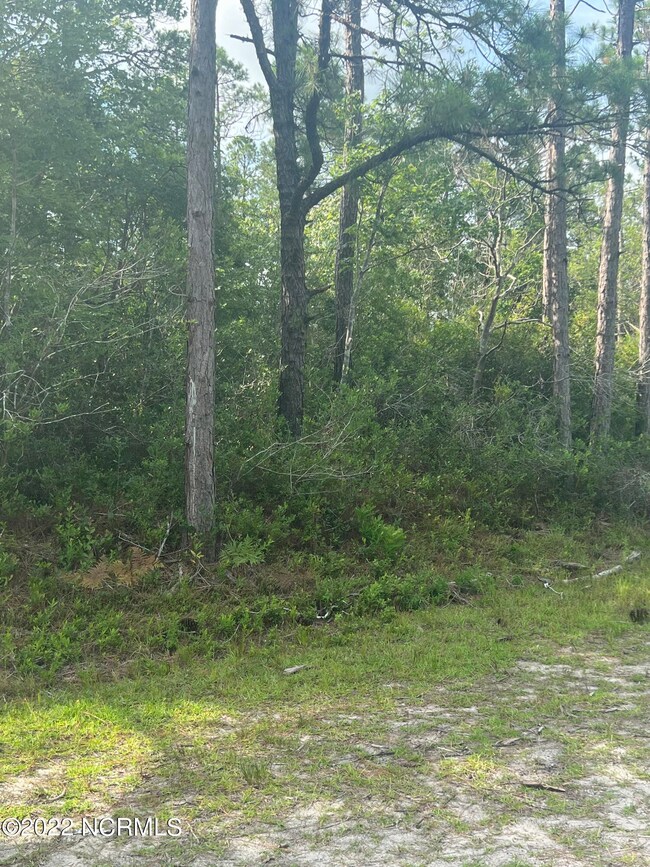 429 W South Shore, Boiling Spring Lakes, NC 28461 - photo 2