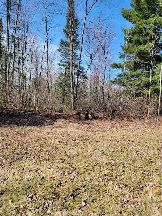 ON Luds Ln, Loretta, WI 54896 - photo 4