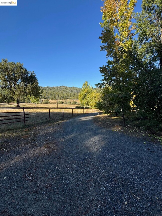 10576 Converse Rd, Coulterville, CA 95311 - photo 7