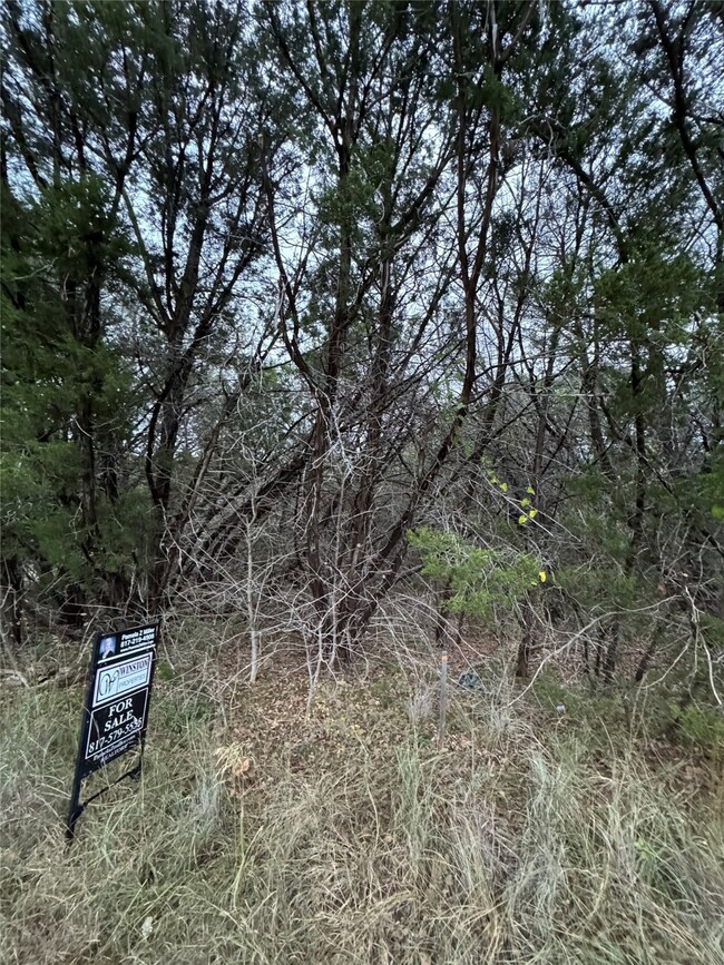 1013 Comanche Cove Dr, Granbury, TX 76048 - photo 4