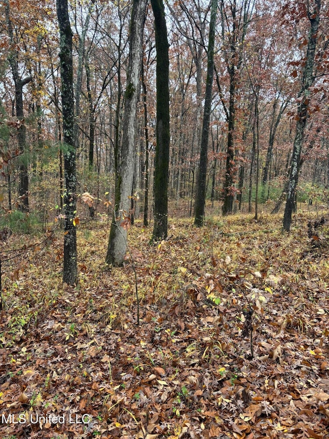 0 Alexander Dr, Olive Branch, MS 38654 - photo 3