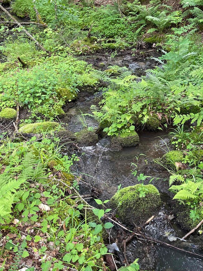 00 Vermont 102, Bloomfield, VT 05905 - photo 2