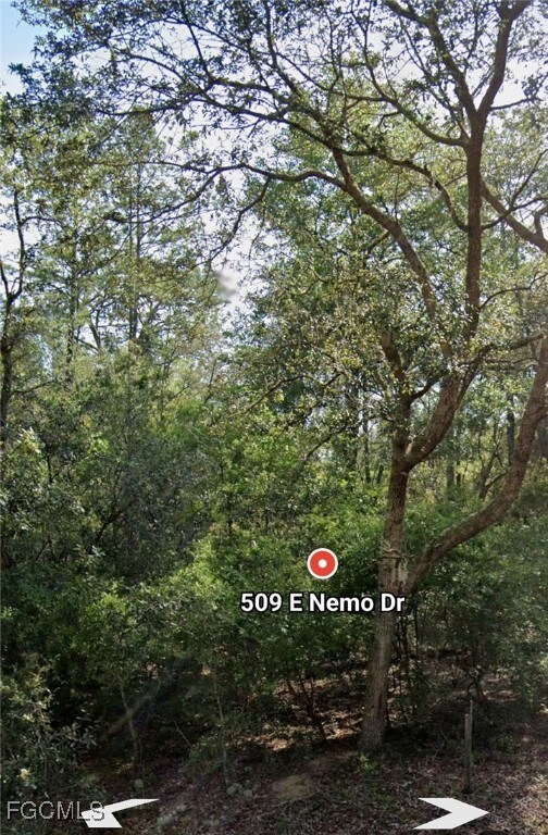 509 E Nemo Dr, Citrus Springs, FL 34434 - photo 4