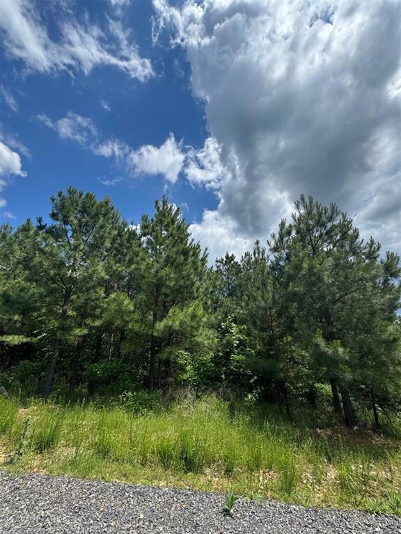 75 Sliding Hill Trail, Broken Bow, OK 74728 - photo 7