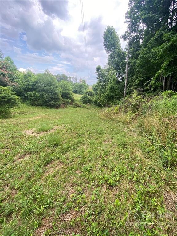 99999 Watsell Dr, Leicester, NC 28748 - photo 7