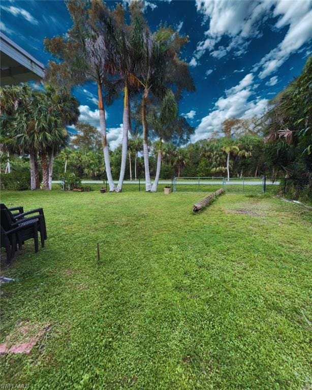 View of yard