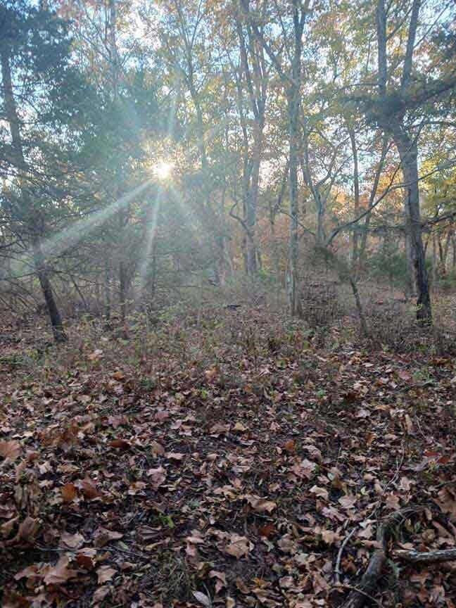 21772 State Highway 32, Stockton, MO 65785 - photo 3