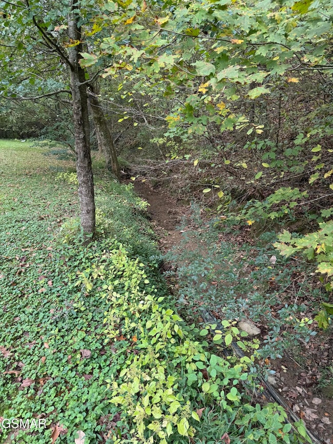 214 Cody Dr, Sevierville, TN 37862 - photo 7