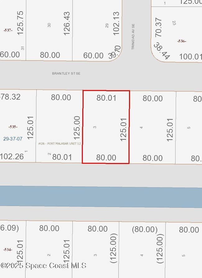 450 Brantley St SE, Palm Bay, FL 32909 - photo 2