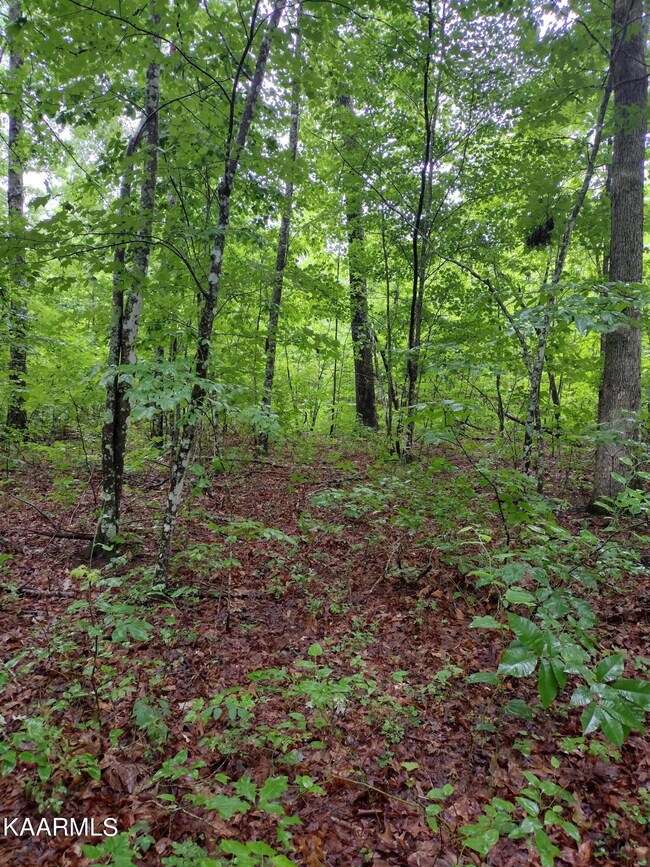 IMG_20220607_095651976_HDR