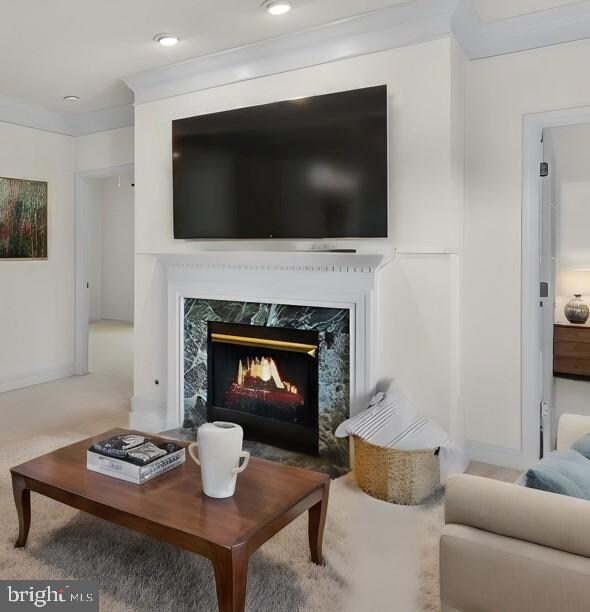 11310 Westbrook Mill Ln unit 202, Fairfax, VA 22030 - photo 4