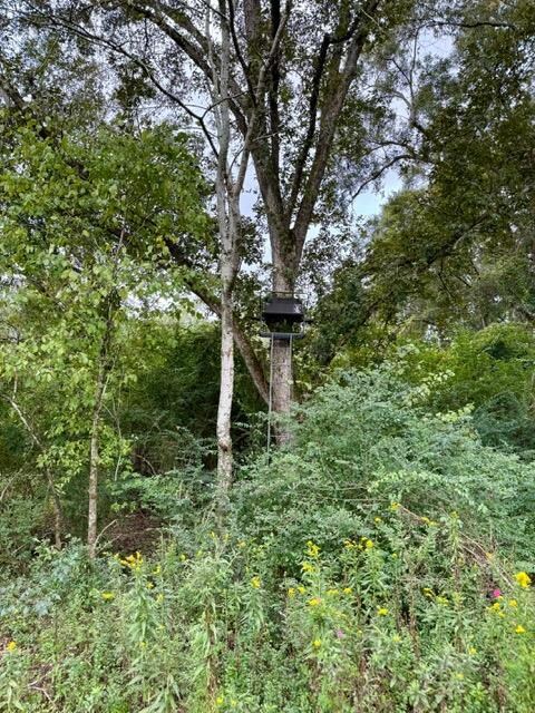 11009 E State Highway 52, Webb, GA 30376 - photo 4