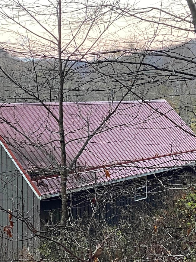 21953 Seneca Trail, Valley Head, WV 26294 - photo 7