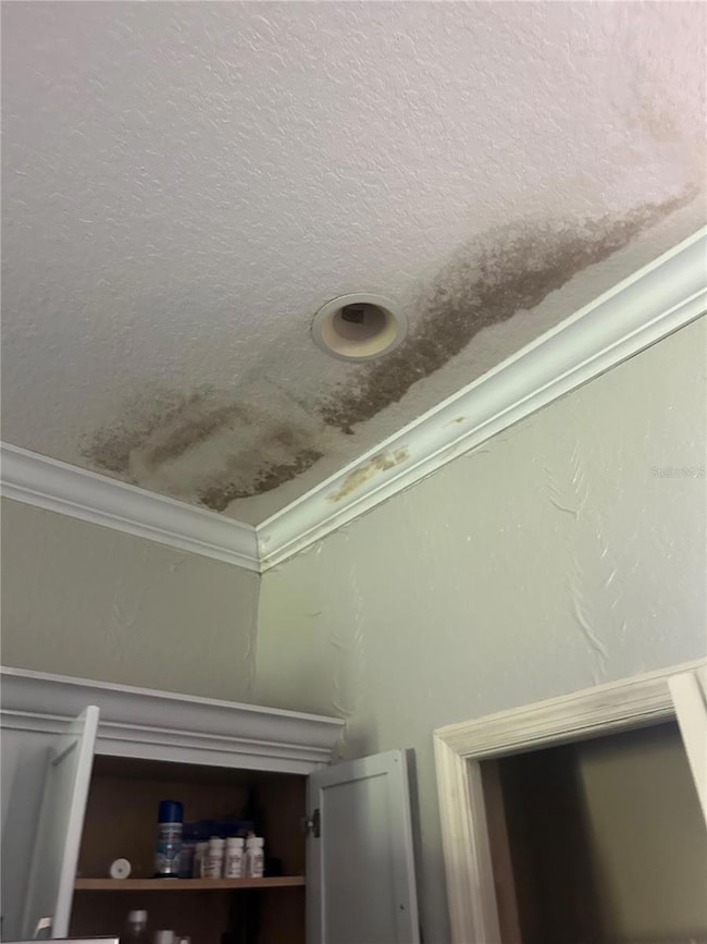 3077 Brenton Manor Loop, Winter Haven, FL 33881 - photo 5