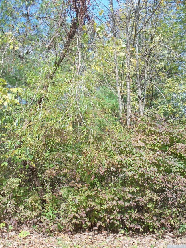 56 - G Summit Ln, Sleepy Hollow Lake, NY 12015 - photo 3