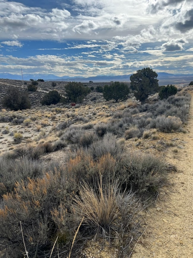 N/A Grant Ave, Spring Creek, NV 89815 - photo 4