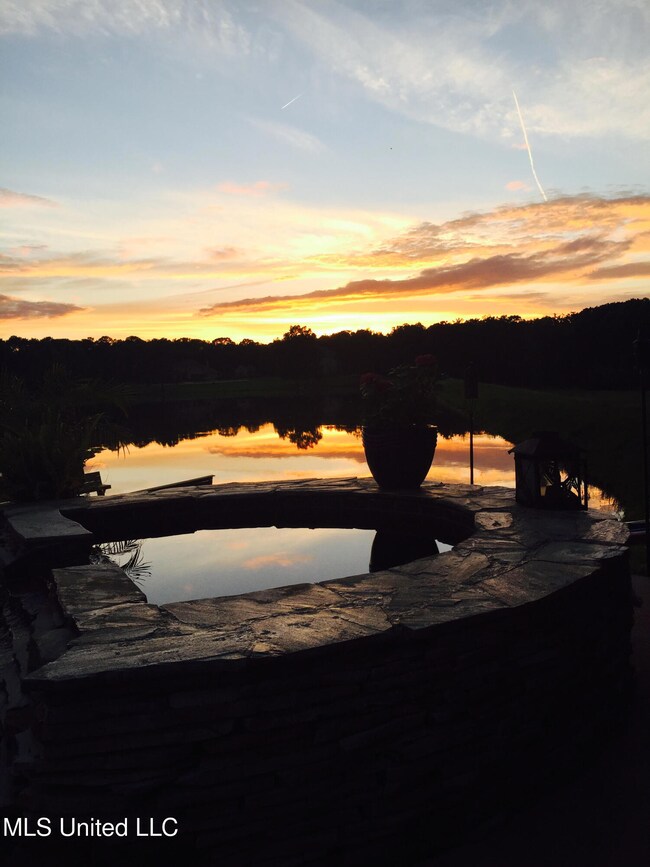 sunset 5