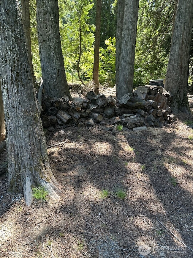 301 Mcelroy Rd, Cle Elum, WA 98922 - photo 3