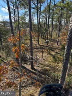 0 Robinson Neck Rd unit MDDO2011116, Taylors Island, MD 21669 - photo 4